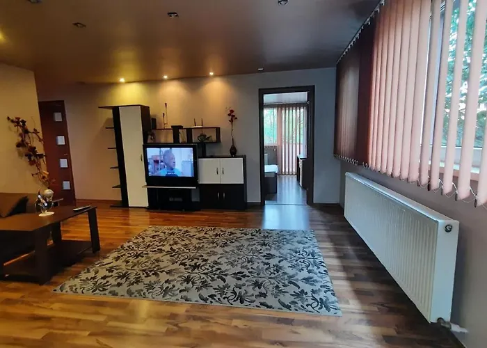 Apartament Laurentiu - Etaj.1